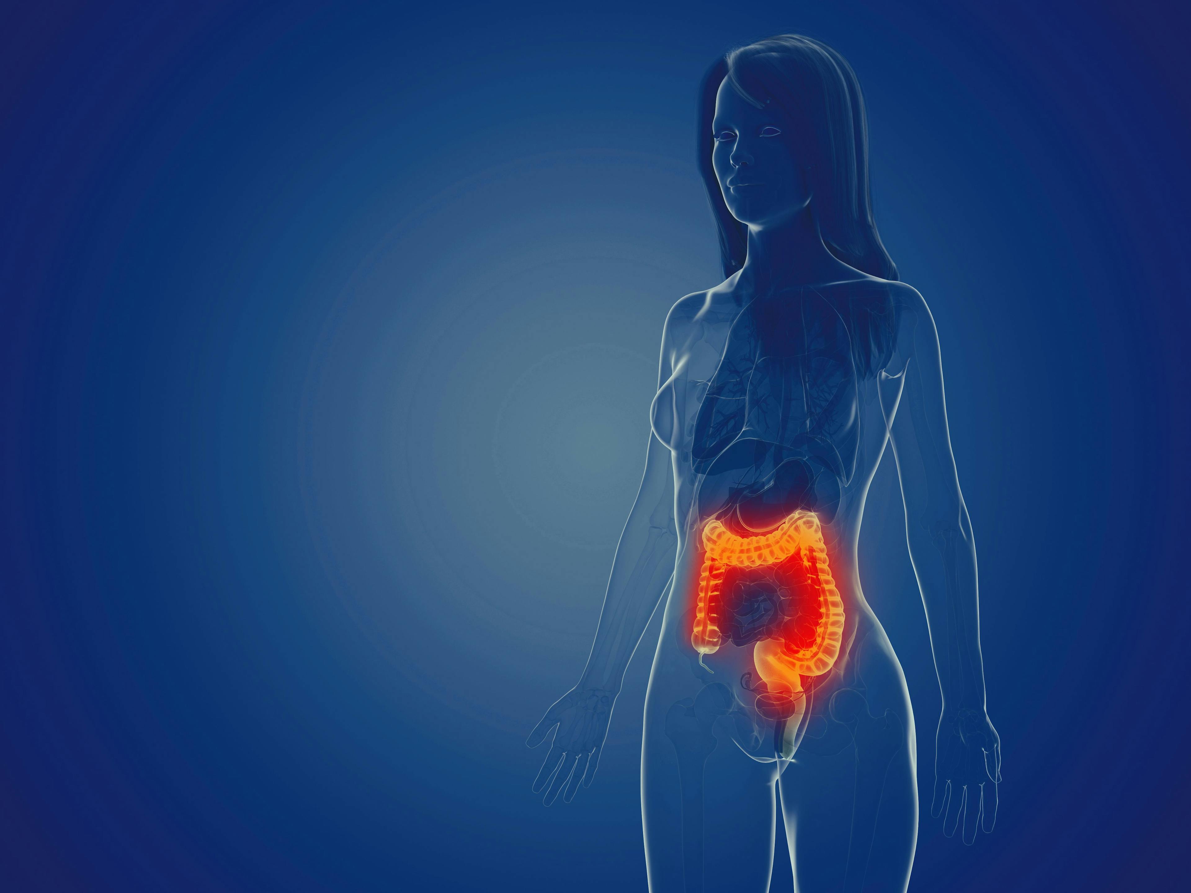 large intestine aglow in outline of female form | Image credit: ©Sebastian Kaulitzki  stock.adobe.com