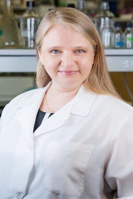 Yulia Komarova, Ph.D.