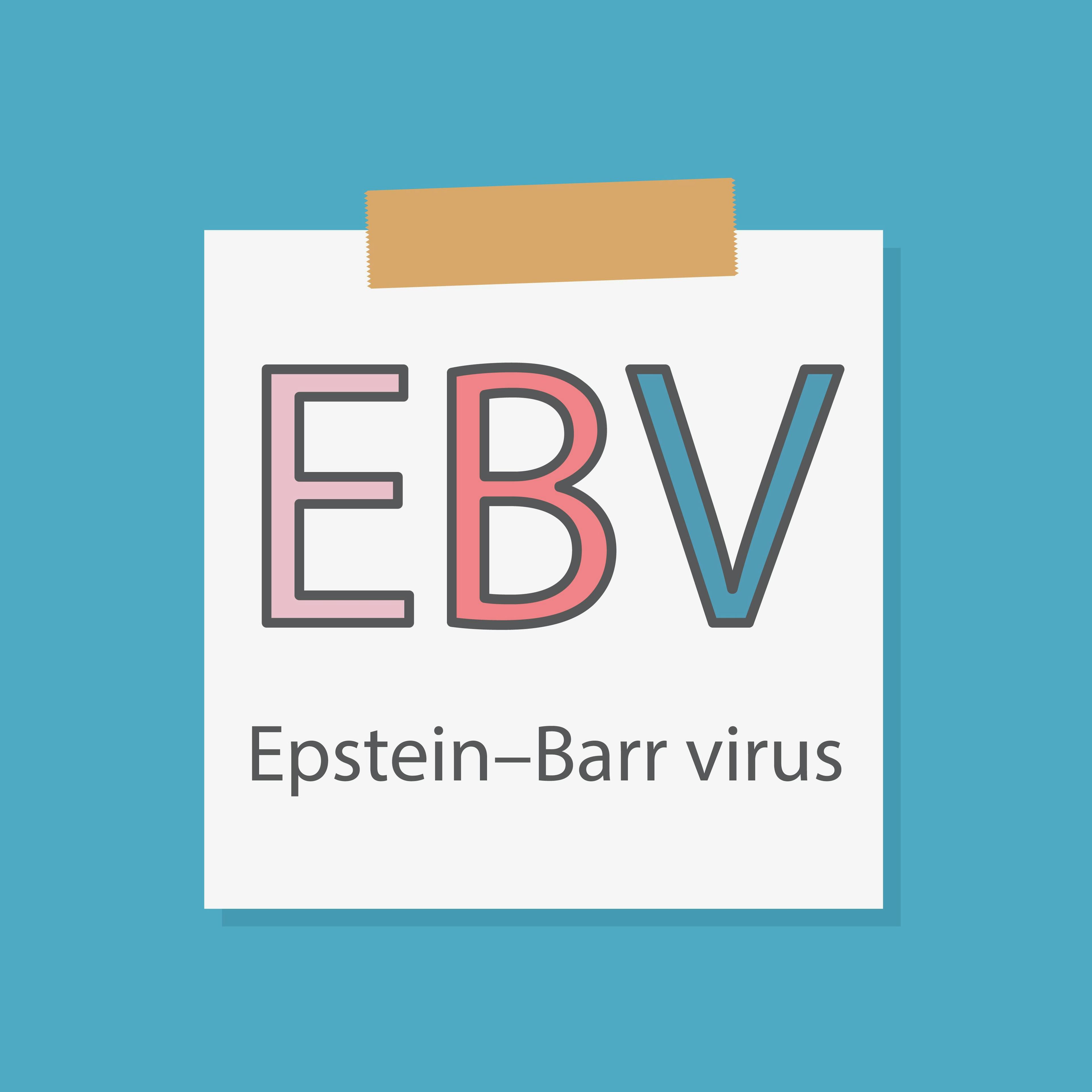 Harvard Researchers Identify Epstein-Barr Virus as a Cause of MS