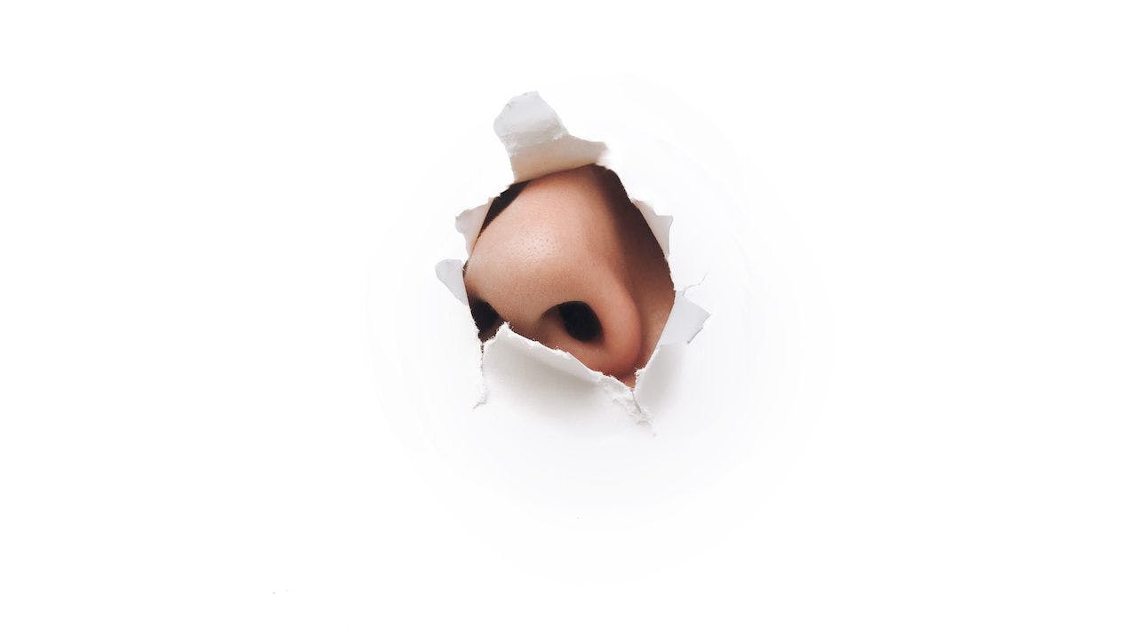 Nose protruding through a hole in white paper | Photo credit: shchus - stock.adobe.com