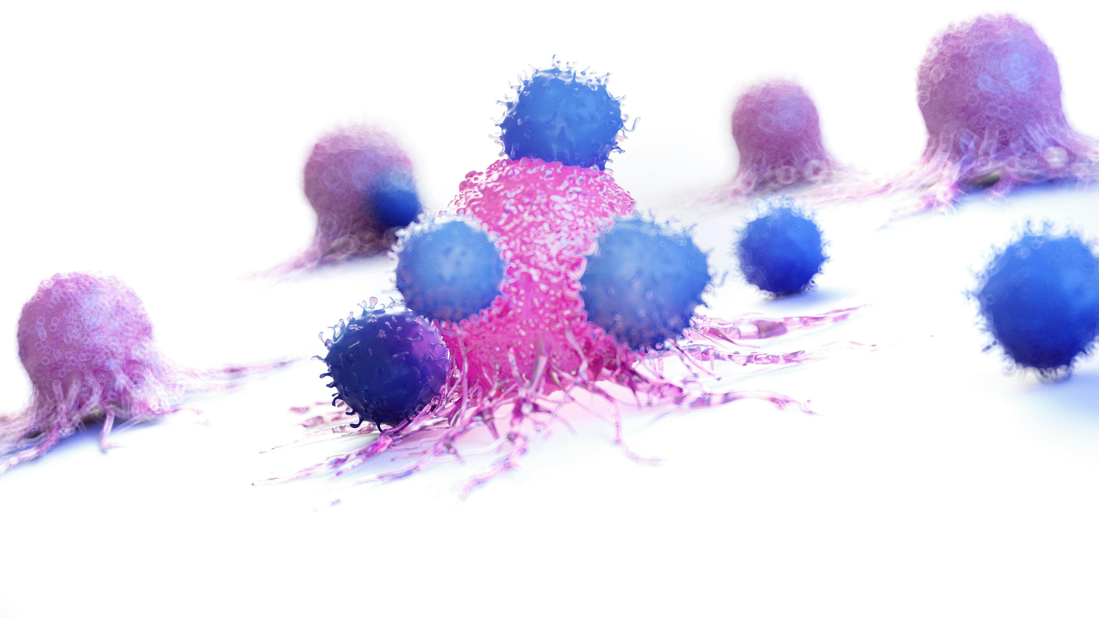 Leukocytes attacking a cancer cell | © Sebastian Kaulitzki  stock.adobe.com
