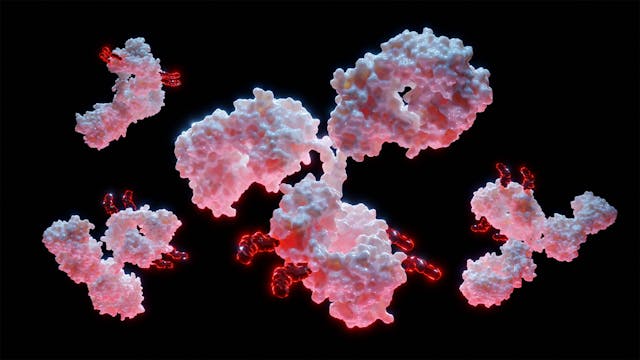 Adcetris, an Antibody-Drug Conjugate, Shows Promise As a Treatment for Pediatric Hodgkin Lymphoma