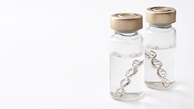 Vials with DNA inside | Image credit: Victor Moussa stock.adobe.com
