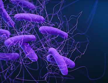 Restoring the Gut Microbiome in C. Diff Patients Reduces Anxiety | IDWeek 2023