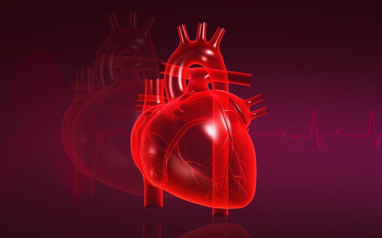 Drug That Targets Cardiac Muscle Cuts Risk of Heart Failure Hospital Visits