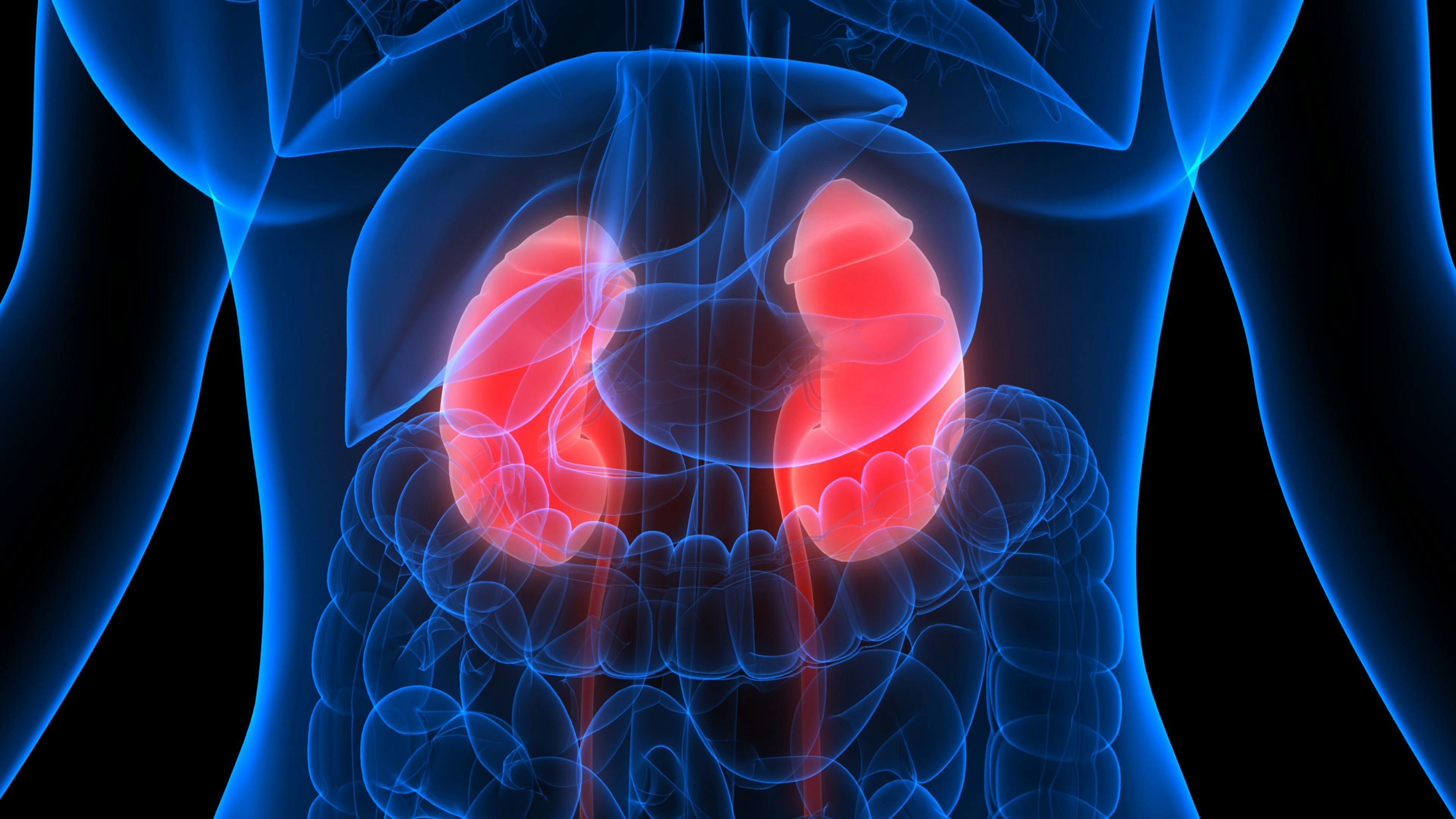 At-Home Test for Kidney Disease Gains FDA Clearance