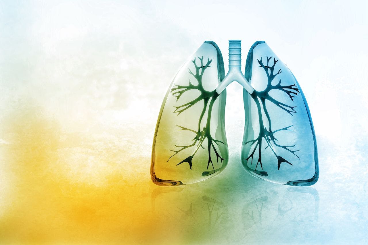 Type 2 inflammation is associated with a greater risk of exacerbations in chronic obstructive pulmonary disease.

Image credit: hywards - stock.adobe.com