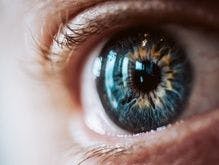 FDA Rejects Specific Bevacizumab Formulation for Wet AMD