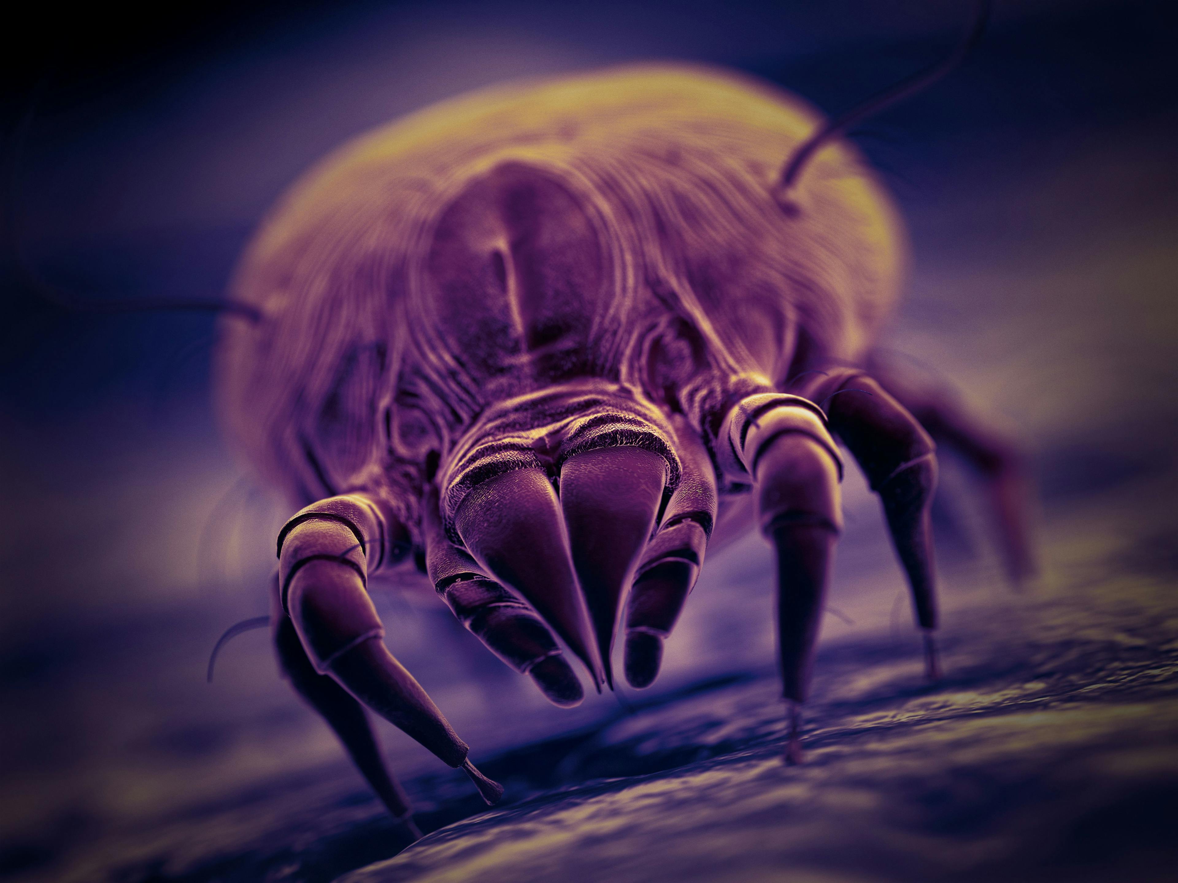 Dupixent Combined with House Dust Mite SLIT May Help Improve Control in Allergic Asthma