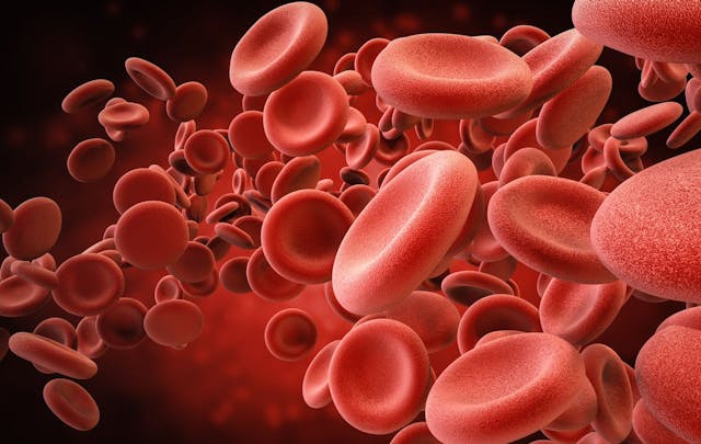 Blood cells | Credit: phonlamaiphoto - stock.adobe.com