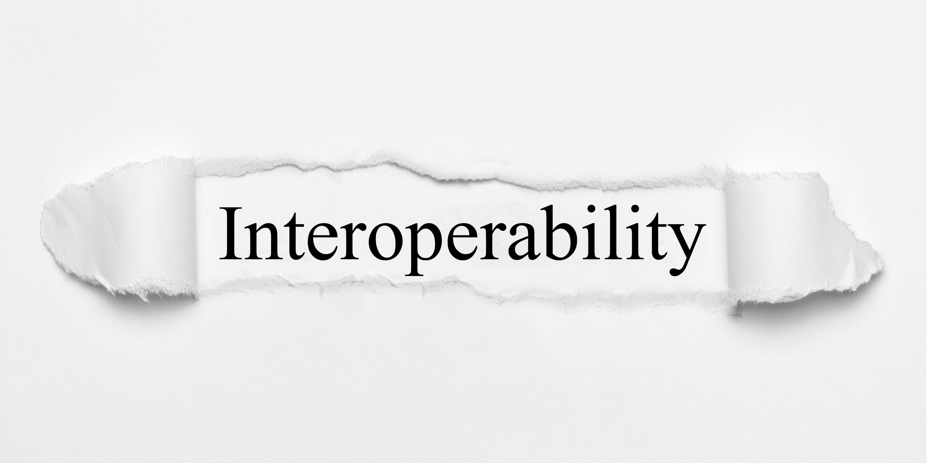 Let’s Stop Talking About Interoperability and Just Make it Work