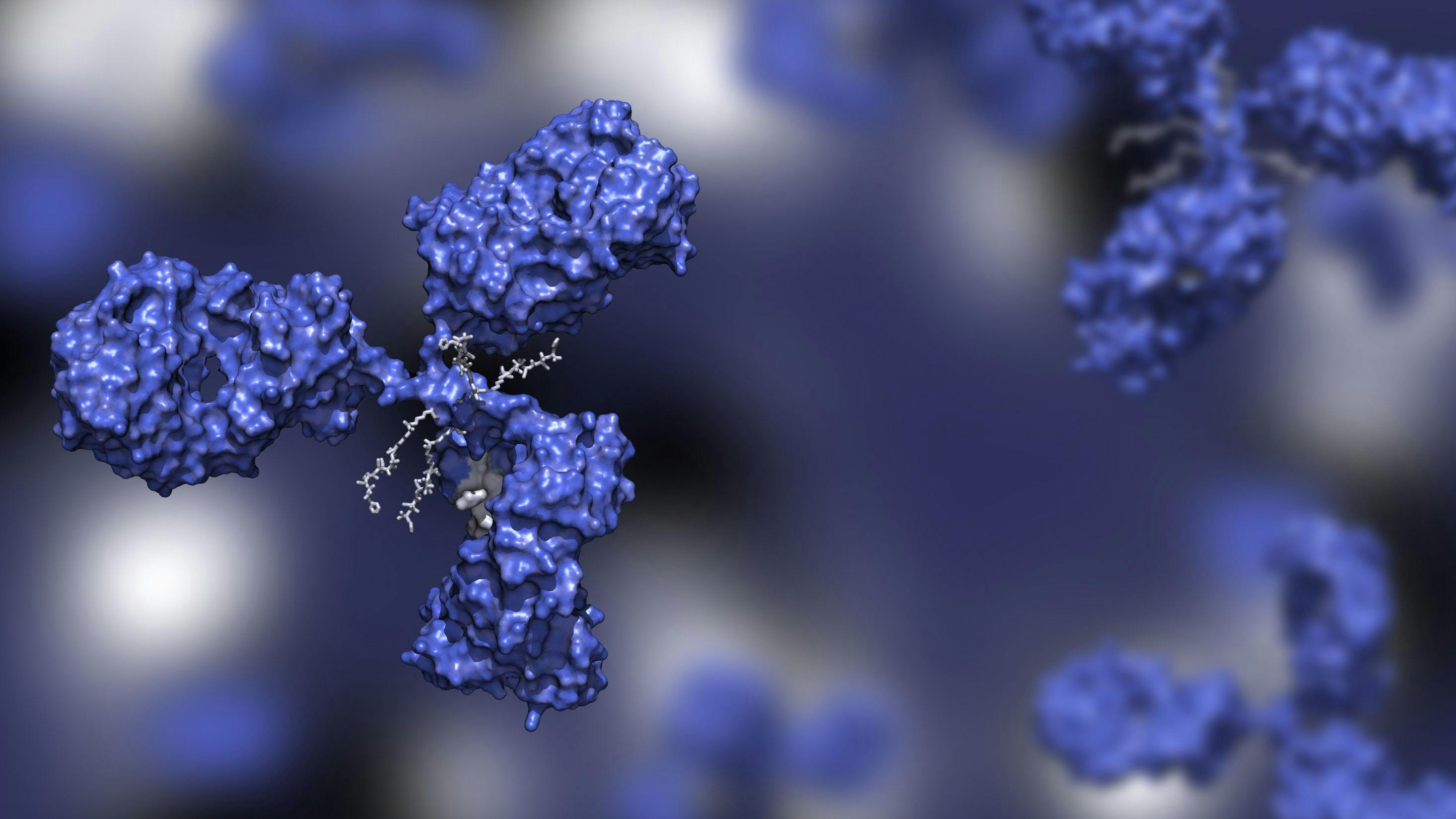 Antibody-Drug Conjugates Find and Kill Cancer Cells